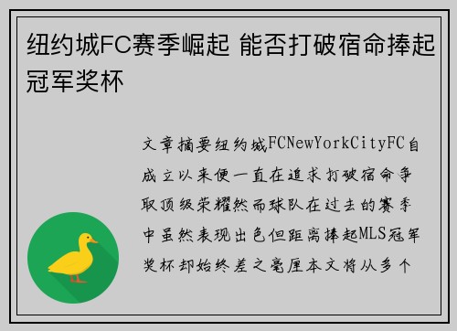 纽约城FC赛季崛起 能否打破宿命捧起冠军奖杯